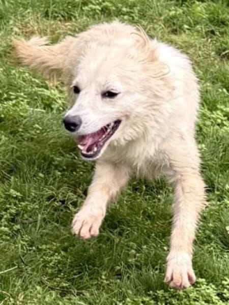 SWEETY will endlich leben dürfen