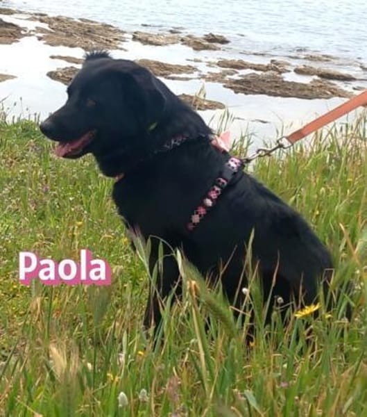 Paola - lernwillig und bewegungsfreudig