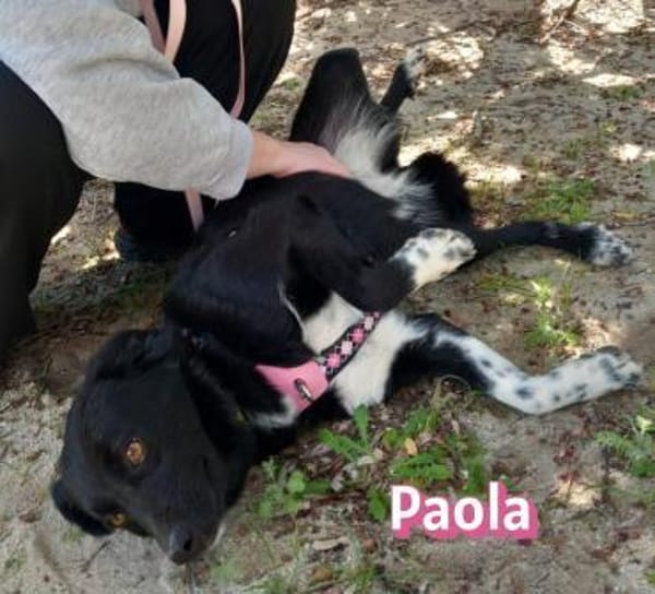 Paola - lernwillig und bewegungsfreudig