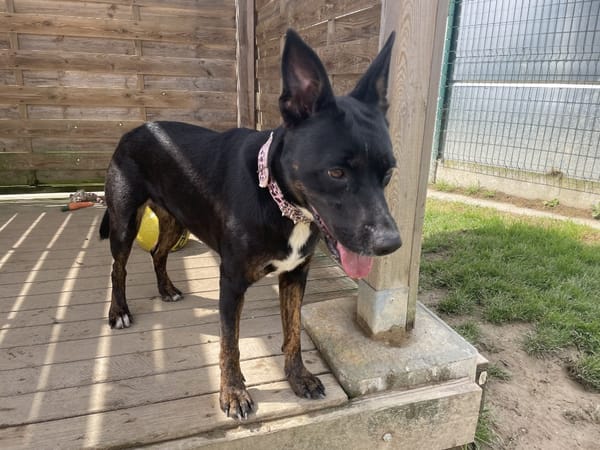 XENA