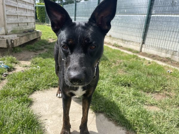 XENA