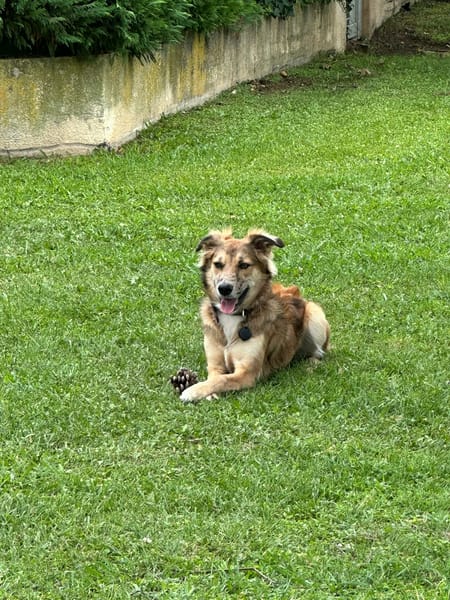 Billy