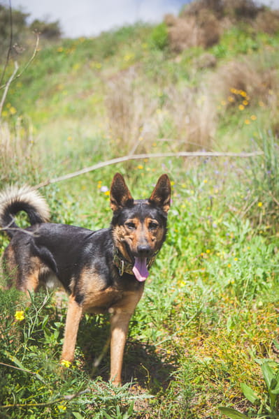 KIKO (Los Reyes)