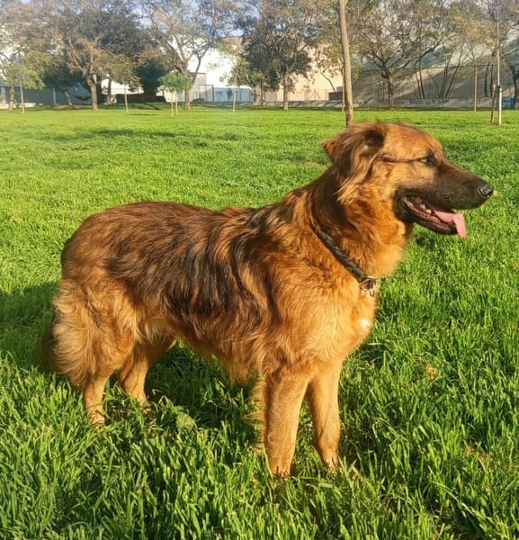 OTTO (Martina)