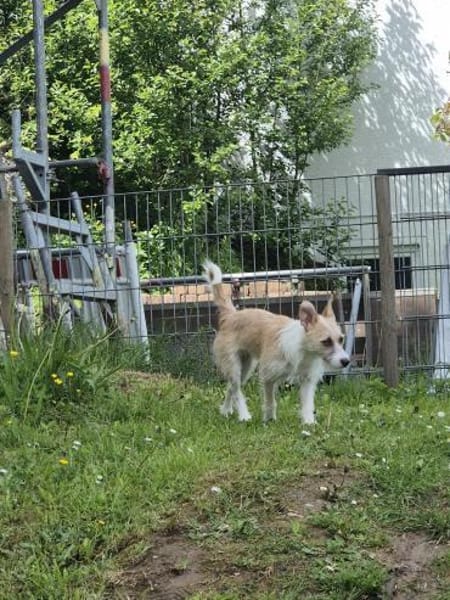 Miley sucht ihr endgültiges Zuhause