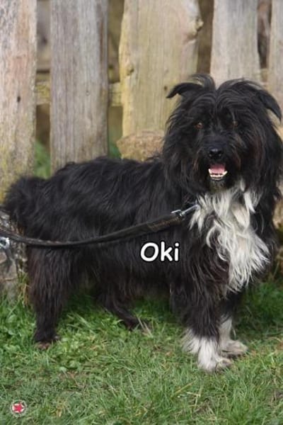 OKI