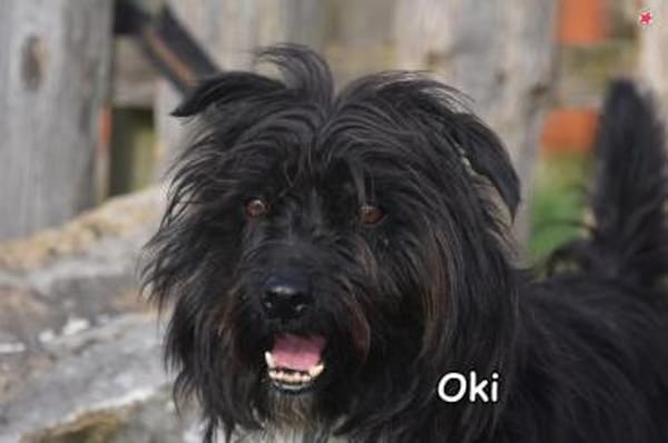 OKI