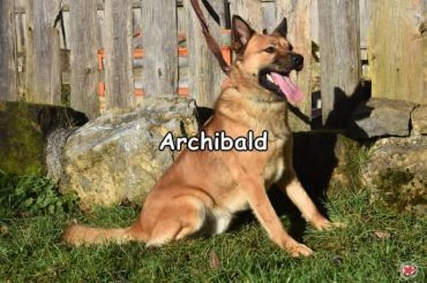 ARCHIBALD