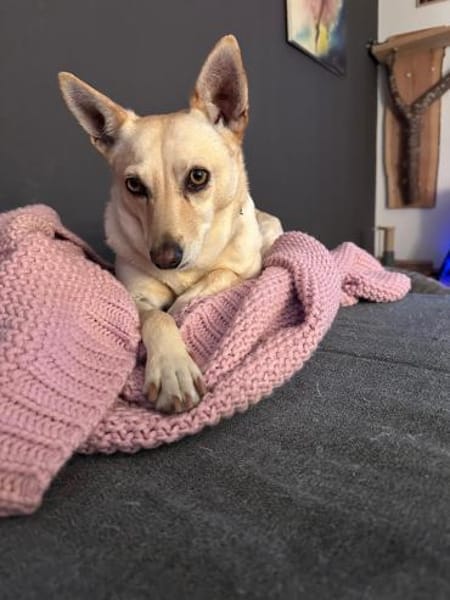 Die liebe Frieda sucht ihr Zuhause