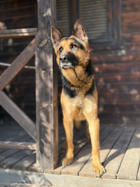 PACO