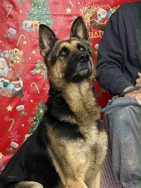 PACO