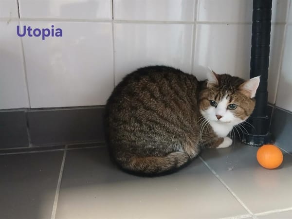 UTOPIA