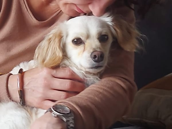CHARLIE
