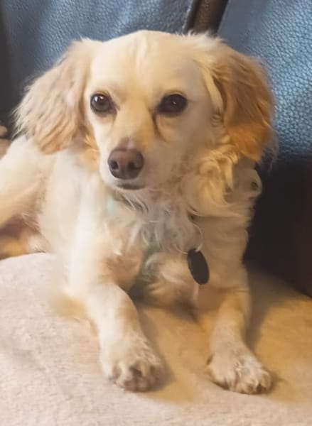 CHARLIE