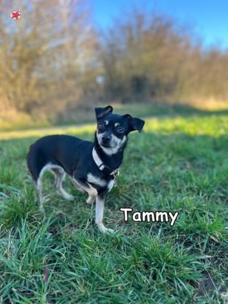 Tammy & Luna