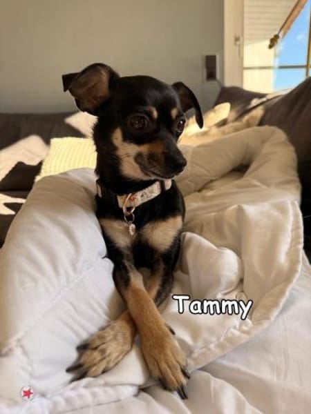 Tammy & Luna