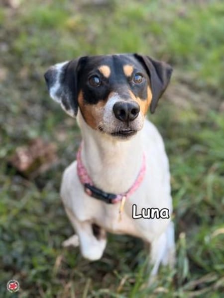 Tammy & Luna