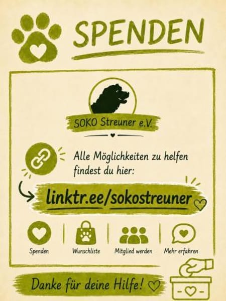 Sanela, 4 Monate, sucht Anschluss