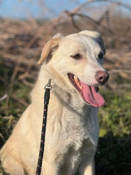 Bildhübsche SUNNY auf Familiensuche !