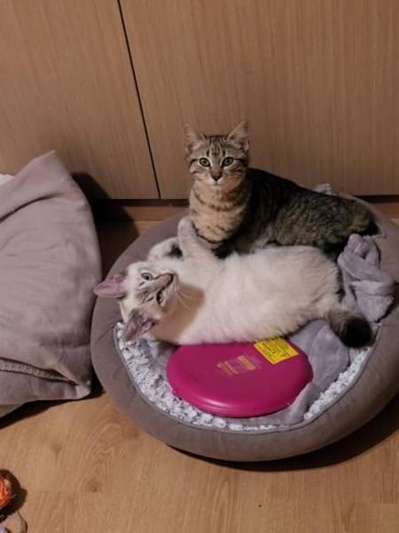 Sue und Tilo suchen zusammen