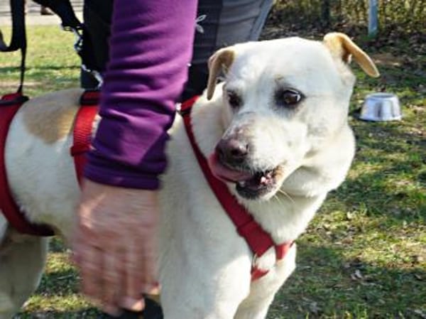 Coco, offen, respektvoll, freundlich