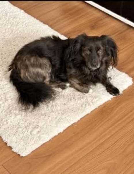 BAMBOO -liebt Kinder-