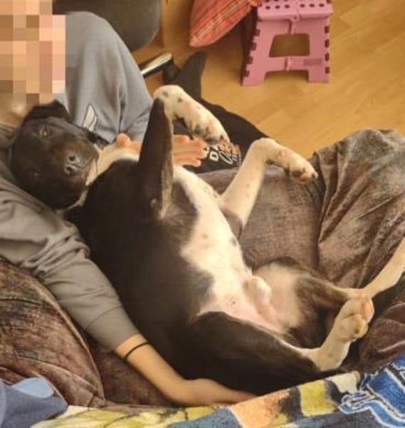 Ikem ein Special Hund sucht ein Zuhause