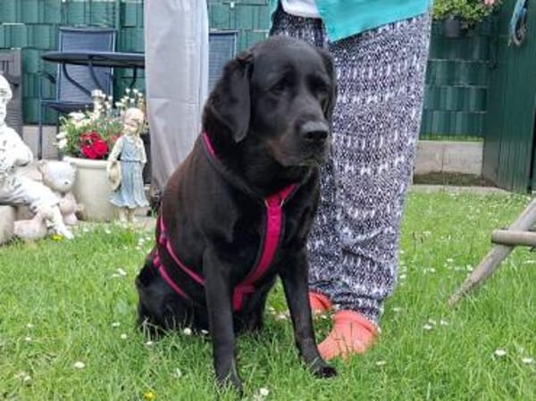 Margot sucht engen Familienanschluss