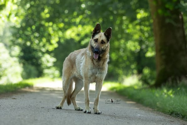 Xena