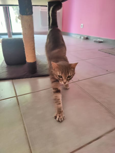 NALA