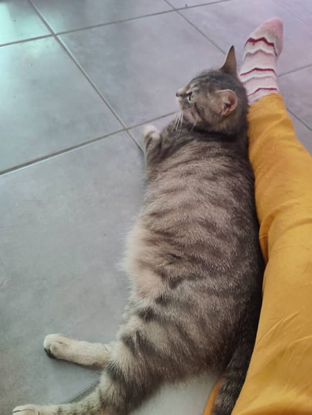 NALA