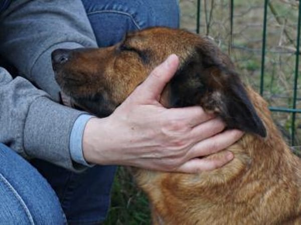 Matilde,verschmust,neugierig,freundlich
