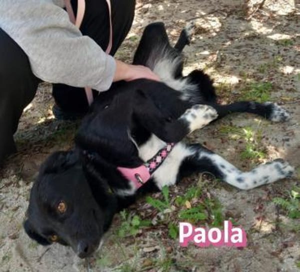 Paola - lernwillig und bewegungsfreudig