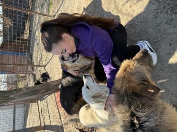 Felia Sanfte Seele sucht erstes Zuhause