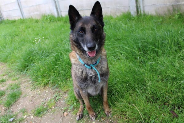 Max
