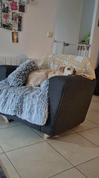 Suzie la belle et douce louloute
