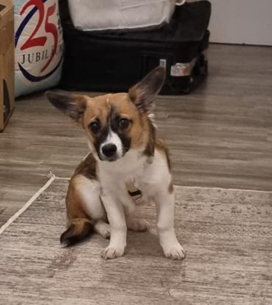 Hannah sucht Sicherheit