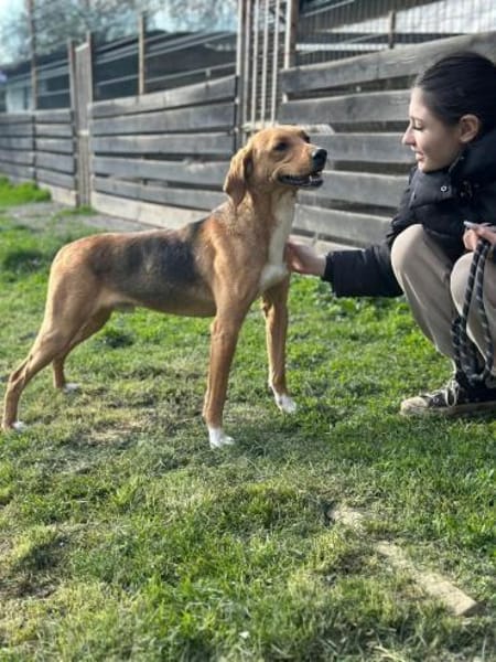 Anton 1/25 m Sucht sein Glück