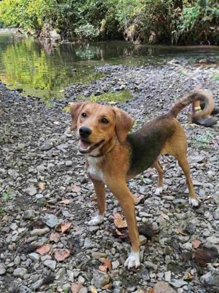 Anton m 1/25 sucht sein Glück