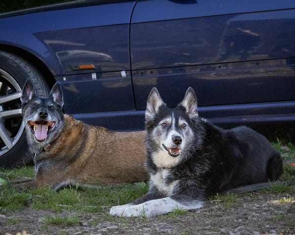 Kiara et Malia