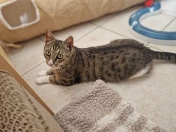 Sina liebt es zu kuscheln