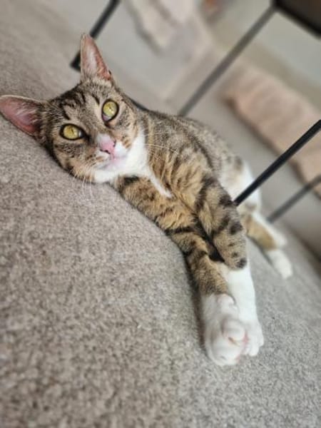 Sina liebt es zu kuscheln