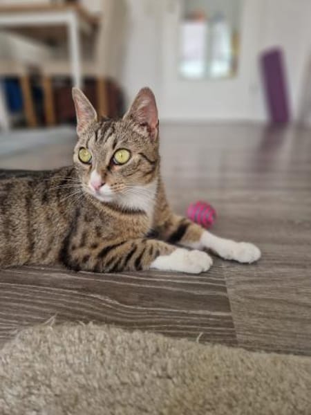 Sina liebt es zu kuscheln