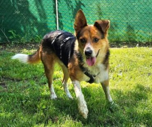 LEO sucht Familienanschluss