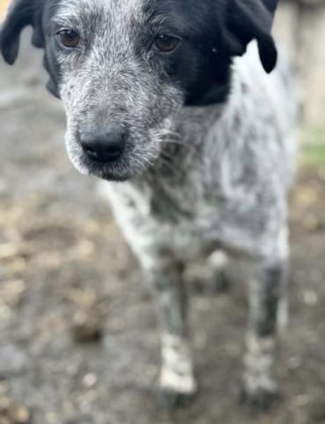 Wilma die süße Maus / am Ammersee