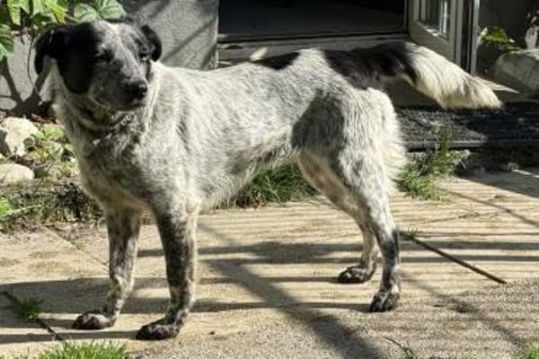 Wilma die süße Maus / am Ammersee