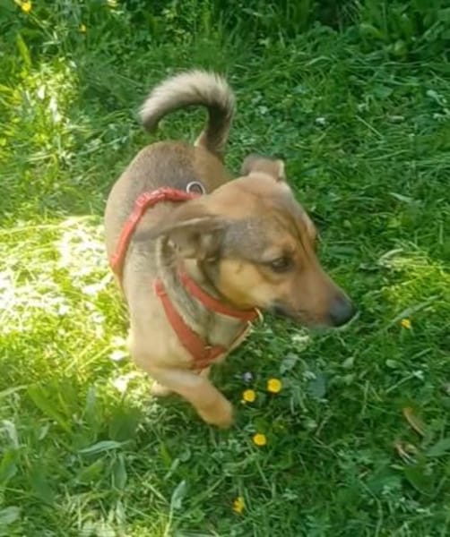 NANO 💙💙💙 sonnig , neugierig , lieb
