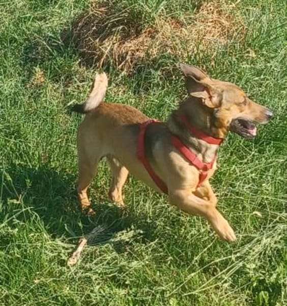 NANO 💙💙💙 sonnig , neugierig , lieb