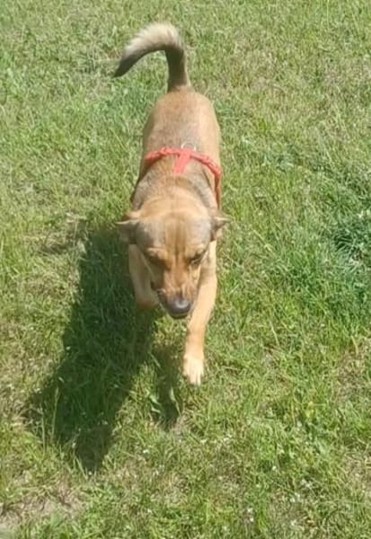 NANO 💙💙💙 sonnig , neugierig , lieb