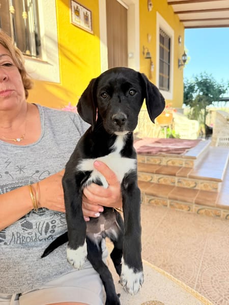 LUNA (Martina)